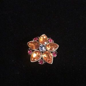 Heidi Daus Brooch & Pendant